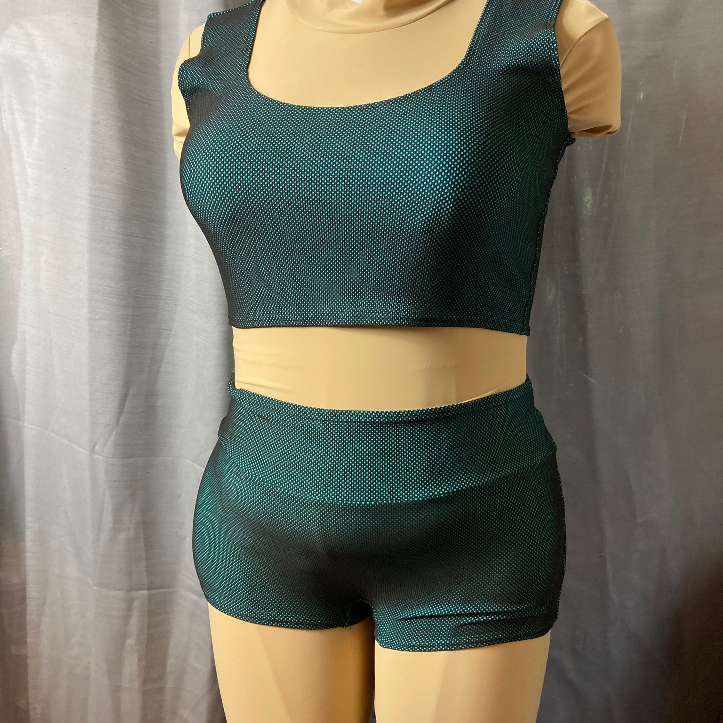 Mint Mesh Crop Top